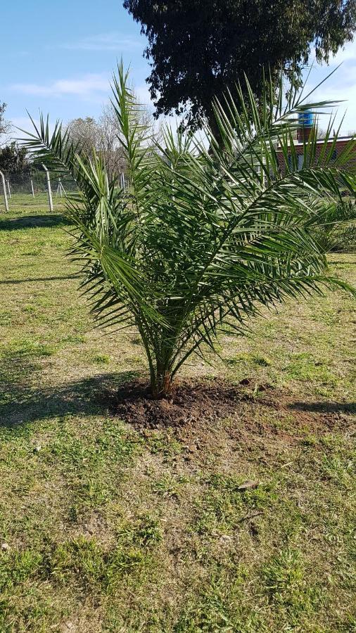 Terrabox Apart De Contenedores Olivera Ngoại thất bức ảnh